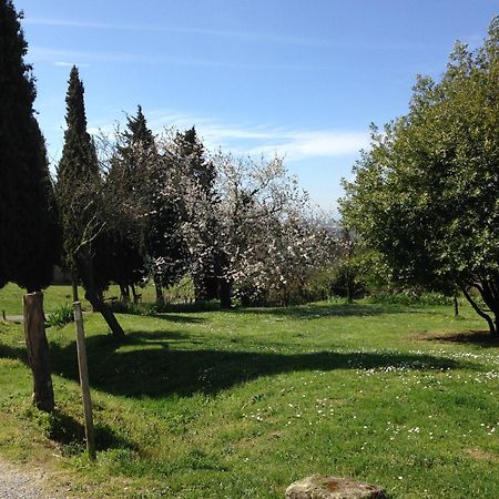 Ecuries Sainte Croix Bed & Breakfast Carcassonne Exterior photo