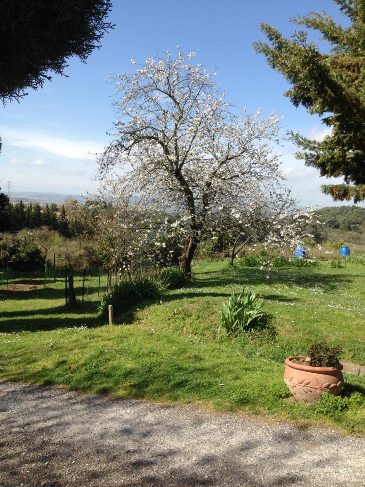 Ecuries Sainte Croix Bed & Breakfast Carcassonne Exterior photo