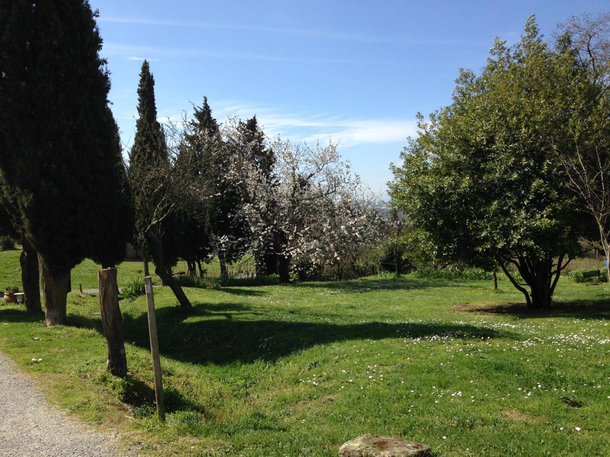 Ecuries Sainte Croix Bed & Breakfast Carcassonne Exterior photo