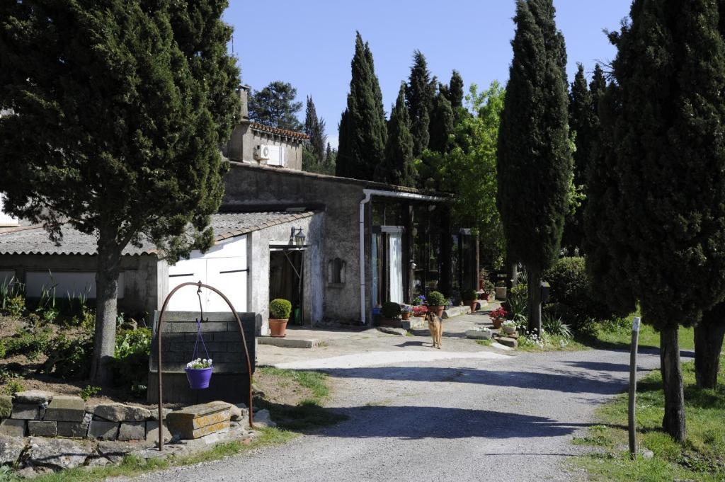 Ecuries Sainte Croix Bed & Breakfast Carcassonne Exterior photo